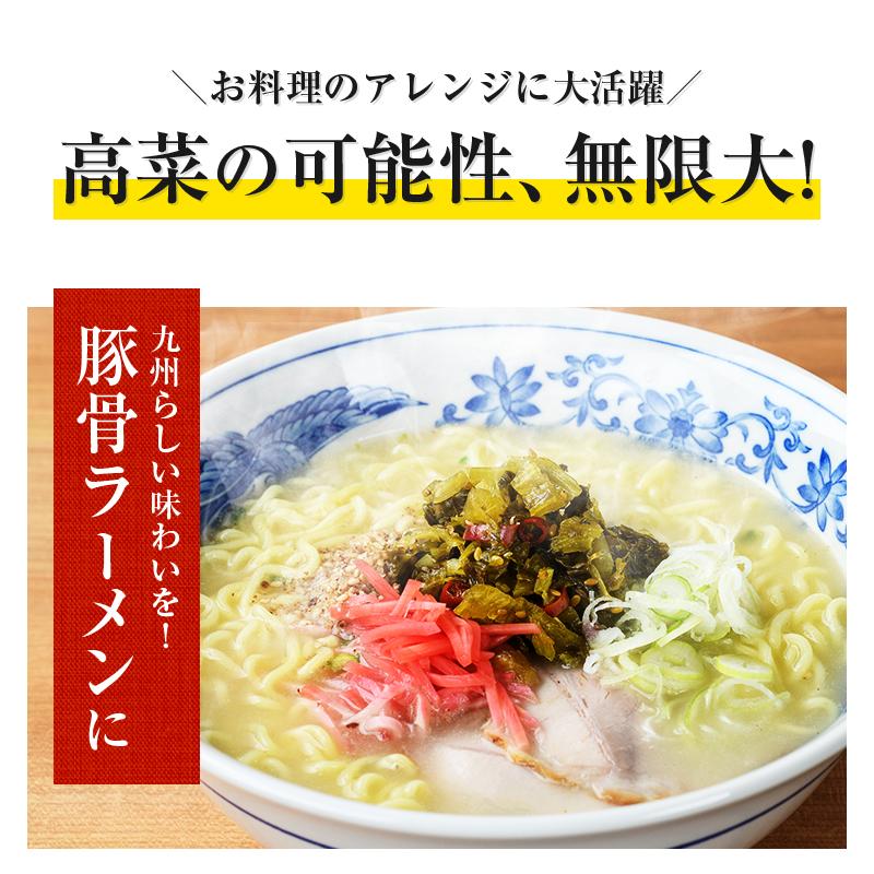 辛子高菜 選べる4袋 明太高菜 高菜油あえ 高菜漬け 送料無料 九州産 鹿児島県 ご飯のお供 たかな お取り寄せグルメ 中園久太郎商店 ギフト [メール便]｜umamido｜17