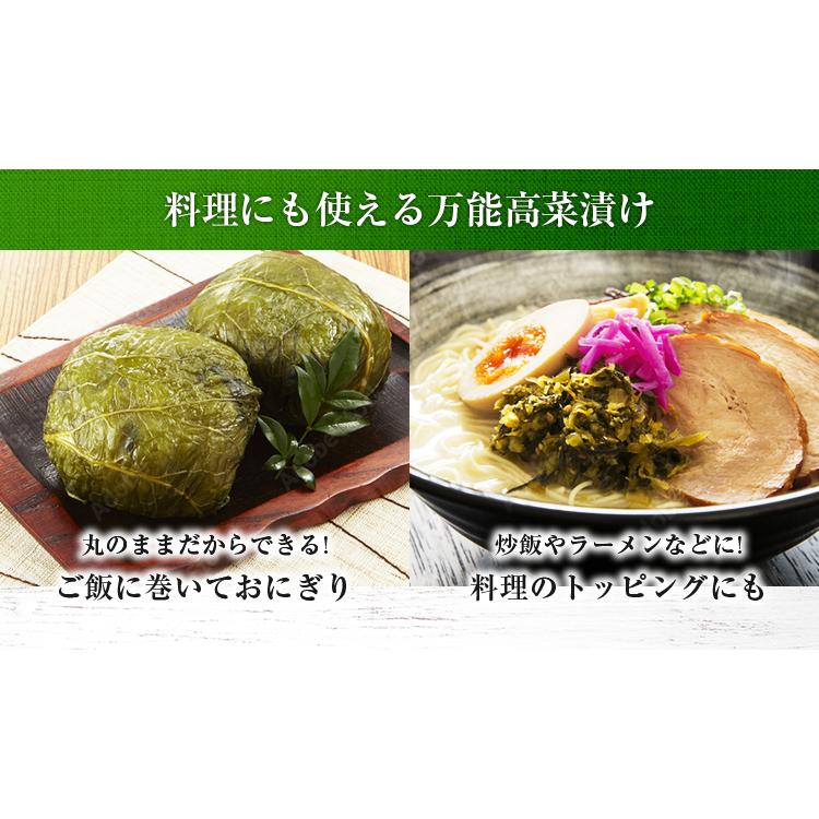 うまみ堂 漬物 高菜 高菜漬け 250g×3袋 セット たかな漬け 送料無料