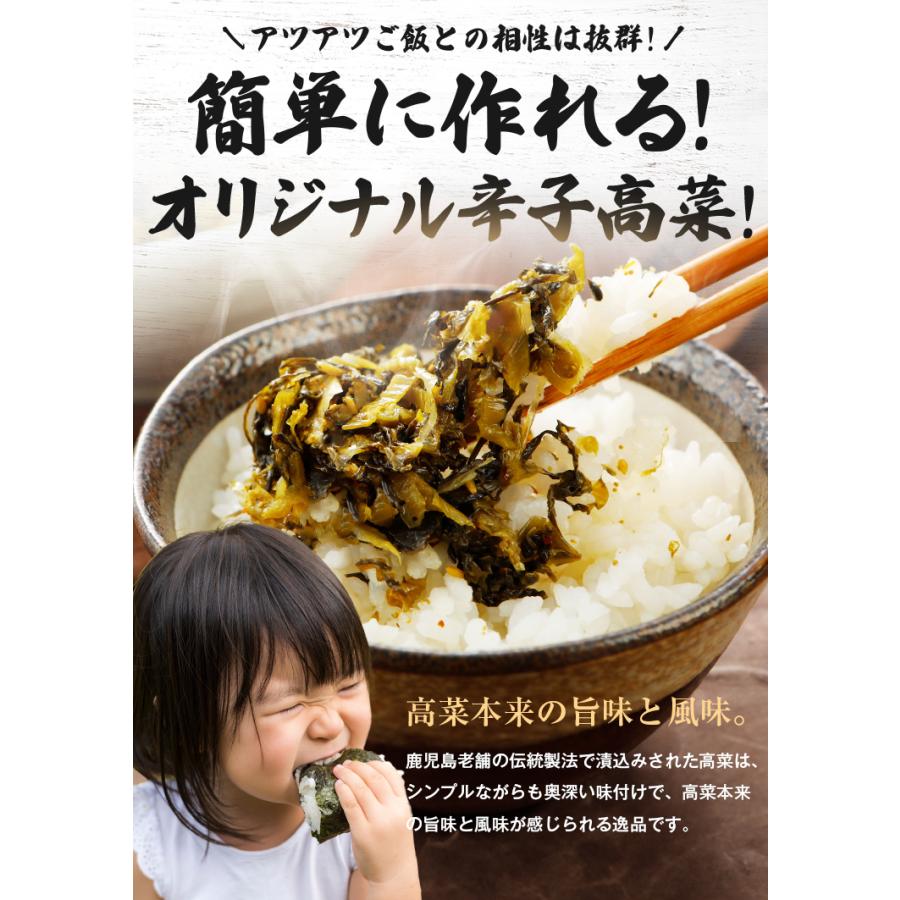 うまみ堂 漬物 高菜 高菜漬け 250g×3袋 セット たかな漬け 送料無料