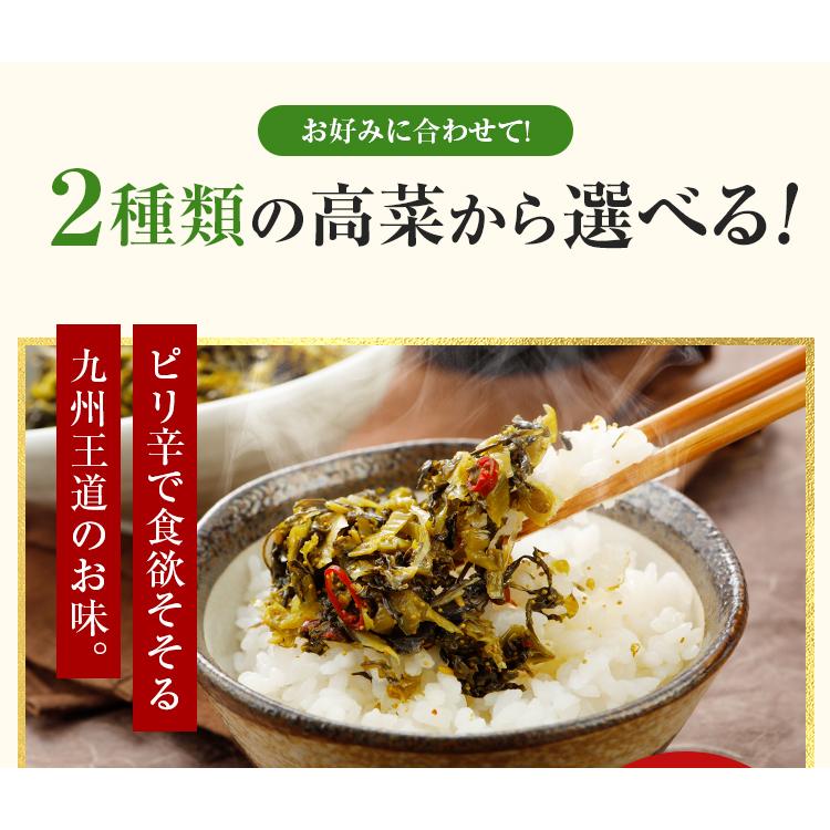 うまみ堂 漬物 高菜 1kg 選べる 辛子高菜 刻み高菜 送料無料 高菜漬け