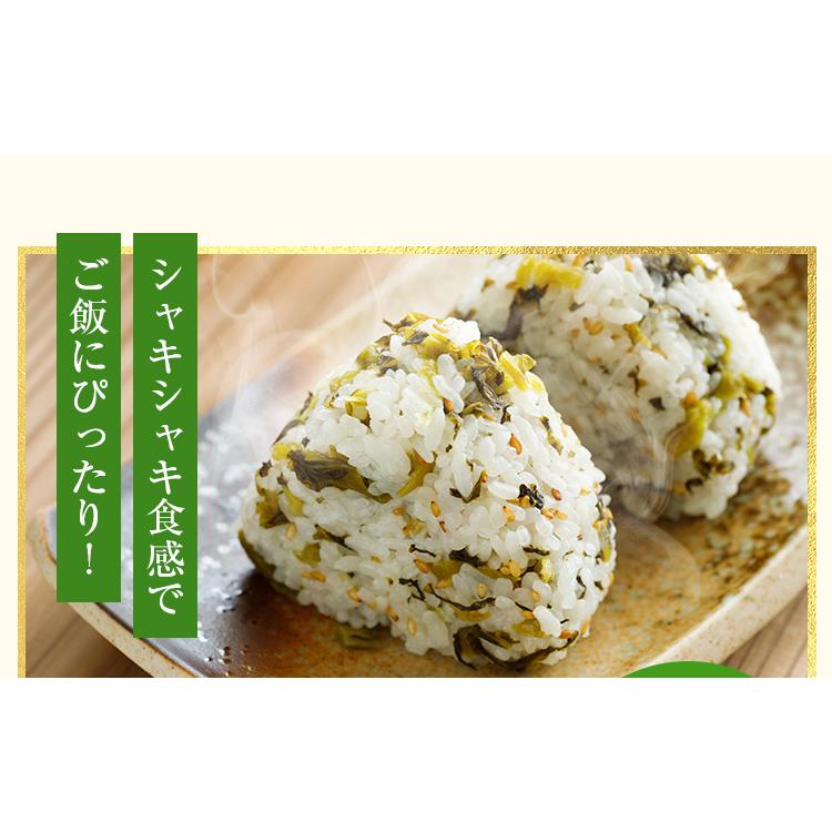 うまみ堂 漬物 高菜 1kg 選べる 辛子高菜 刻み高菜 送料無料 高菜漬け
