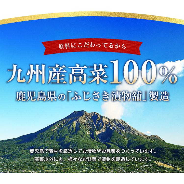 うまみ堂 漬物 高菜 1kg 選べる 辛子高菜 刻み高菜 送料無料 高菜漬け