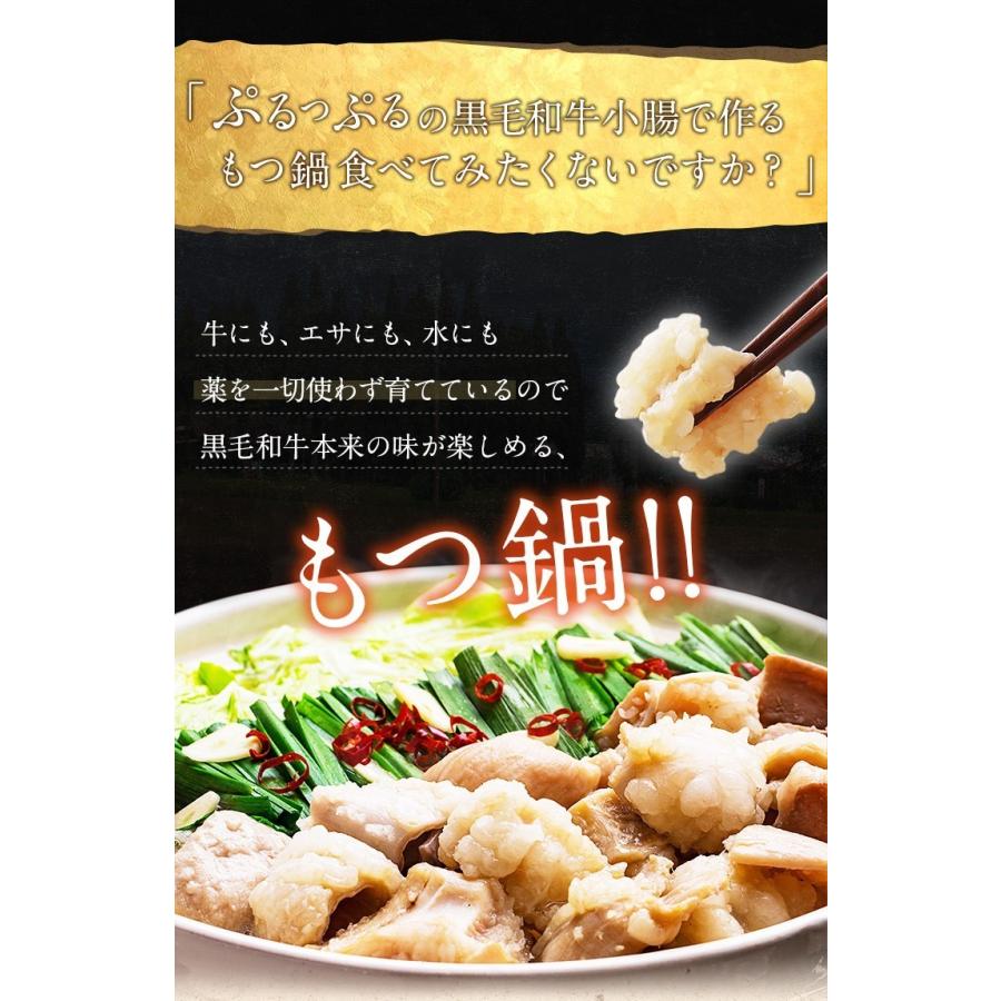 もつ鍋 取り寄せ セット 博多 モツ 3〜4人前 選べるスープ2種類 醤油 味噌 宮崎 黒毛和牛 マルチョウ 送料無料 小腸 国産 ギフト ホルモン 肉 グルメ :ufs-0003:うまみ堂 - 通販 - Yahoo!ショッピング もつ鍋 取り寄せ セット 博多 モツ 3〜4人前 選べるスープ2種類 醤油 味噌 宮崎 黒毛和牛 マルチョウ 送料無料 小腸 国産 ギフト ホルモン 肉 グルメ :ufs-0003:うまみ堂 - 通販 - Yahoo!ショッピング