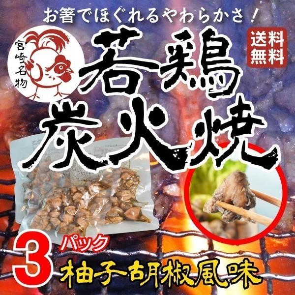 若鶏の炭火焼 ゆず胡椒風味 100g×3セット 送料無料 1000円 ポッキリ セール 宮崎県 ゆず胡椒 旨さ 訳あり 土産 珍味 [メール便]｜umamido｜02