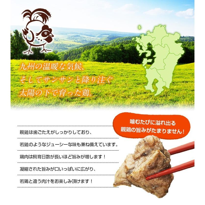 鶏の炭火焼 塩こしょう味 100g×3 セット 送料無料 鶏肉 おつまみ ビール 1000円 セール レトルト 鳥 炭火焼き 旨さに 訳あり 食品 非常食 [メール便]｜umamido｜04