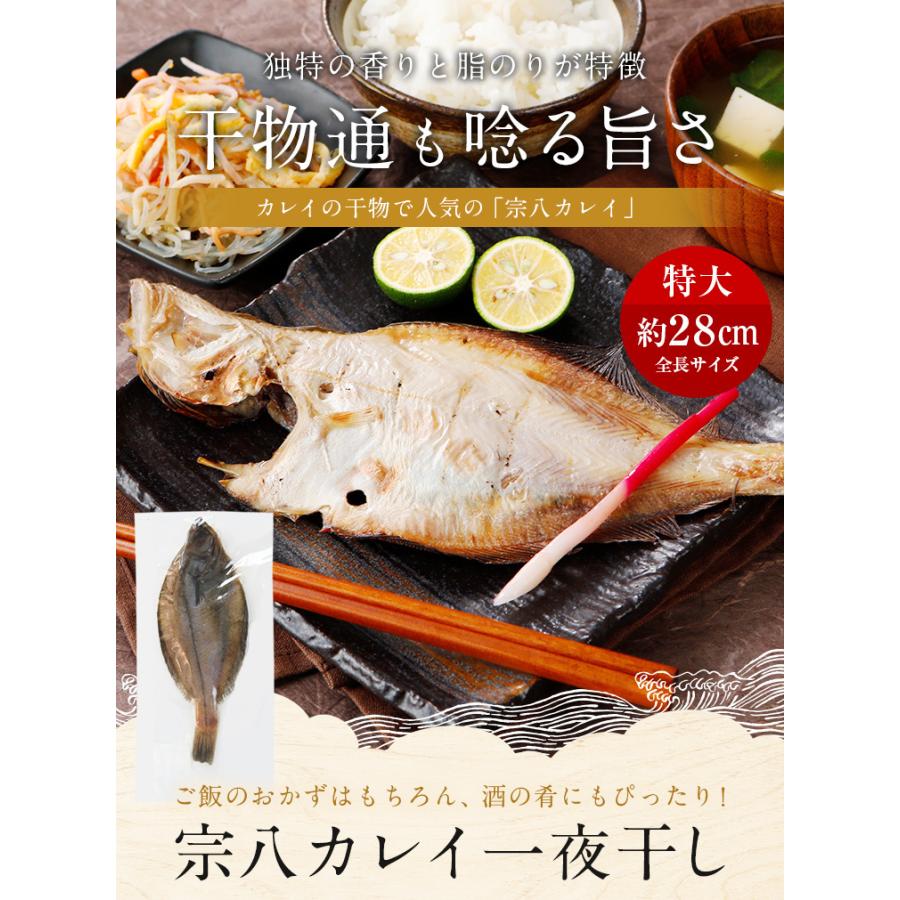宗八カレイ 一夜干し 5枚 干物 送料無料 北海道 お土産 お返し ギフト 海鮮 鰈 魚介類 おつまみ 物品 結婚祝い プレゼント 見舞 出産祝い 食べ放題 食品