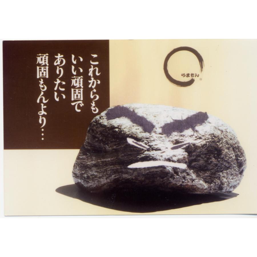 キムチ詰め合わせ 送料無料 発酵漬物 甘酢白たくあん の大根キムチ 四度漬キムチ 和の極み 三度漬け白菜キムチ 白菜漬  おつまみセット | うまもん | 16