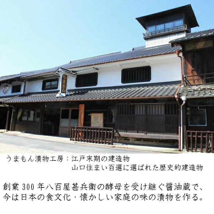 広島菜漬・甘酢白たくあん・白菜漬本造り詰め合わせ３品B 実用的 うまもん　送料無料 食品 実用的 発酵漬物セット 手土産 つけもの 贈り物 |  | 16