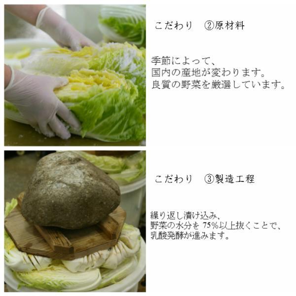 三度漬白菜本造り 180g うまもん 八百屋甚兵衛 白菜漬け 発酵漬物 | うまもん | 04