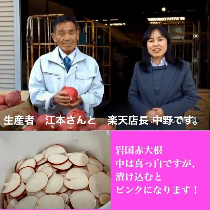 岩国赤大根(大根甘酢漬) 180g2個 ポスト投函 無添加 うまもん  山口県伝統野菜 漬物 |  | 03