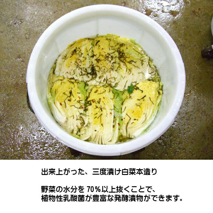 漬物本造り詰め合わせ３品B うまもん  漬物セット 甘酢白たくあん・白菜漬け・広島菜本漬 手土産 つけもの 贈り物 自分用 |  | 09