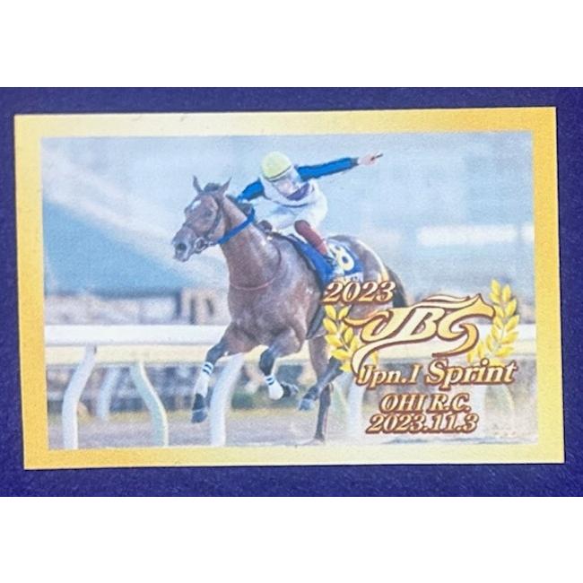 イグナイター』リサイクルミニゼッケン【2023JBCスプリント】Bタイプ