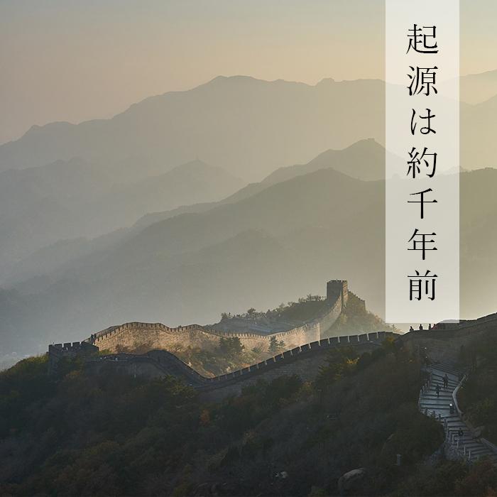 紹興酒 東西 飲みくらべセット 2本 老酒 黄酒 中華 中国酒 お酒