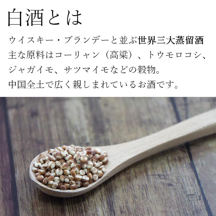 綿柔尖庄 メンロージェンジョン 500ml 濃香型 35度 白酒 バイチュウ