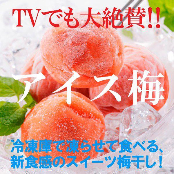 品揃え豊富で アイス梅 9粒入 紀州産 大粒 南高梅使用 岩惣 送料無料 308