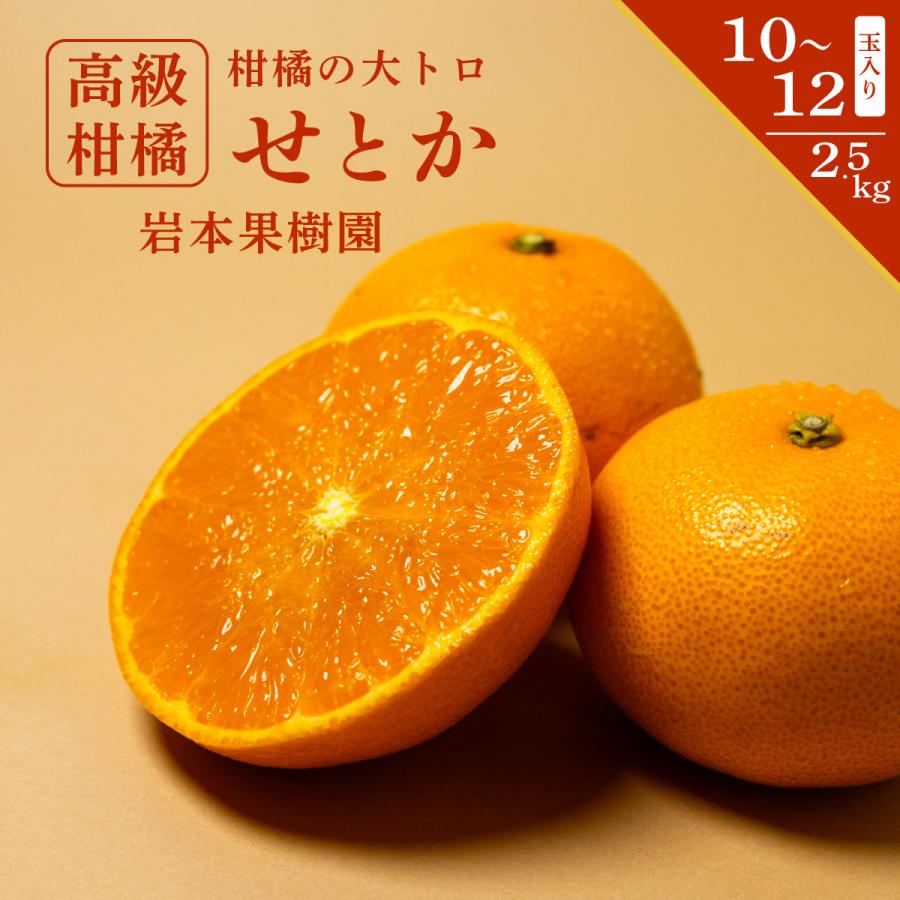 長崎県産 岩本果樹園 せとかみかん 10〜12玉 1箱 箱 せとか セトカ