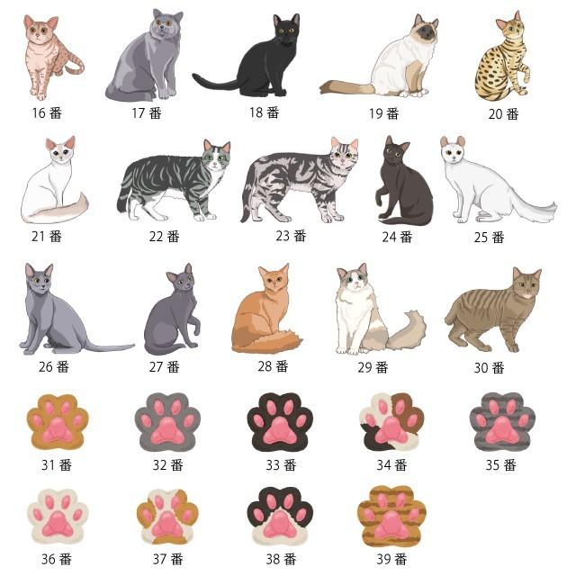 本の 栞 しおり ブックマーカー 卒業 記念品 名前 猫 イラスト Ybm Cocatillust 名入オリジナルギフトショップ旨安 通販 Yahoo ショッピング