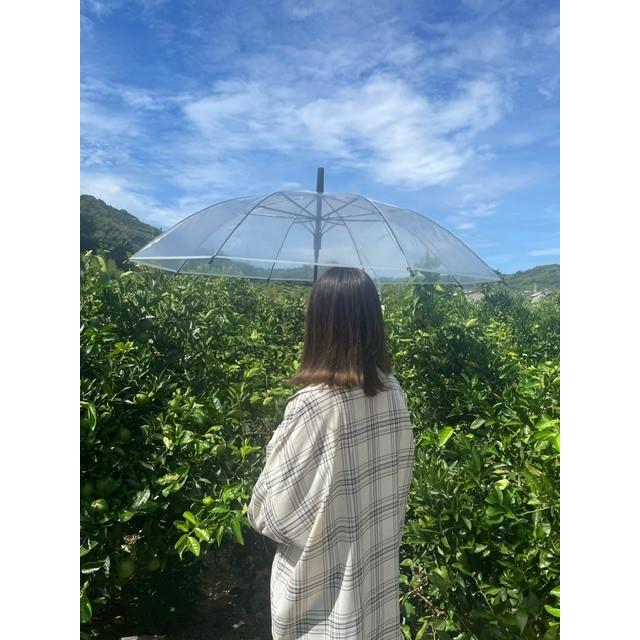 福袋2026　傘福袋 　アウトレット品混み　16本骨傘 風に強いグラスファイバー メンズ 　レディース |  | 16