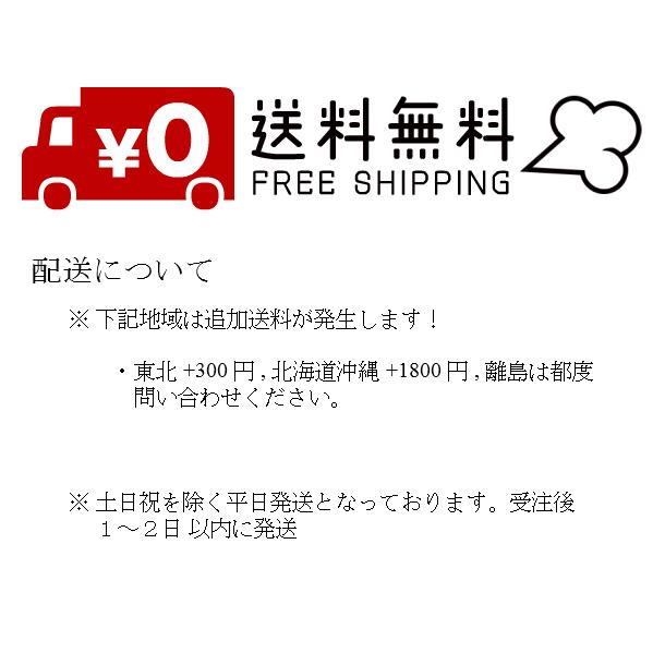 540BYNB　16本骨傘 お洒落　数量限定23本セット　男女使える定番サイズ 16本骨グラスファイバー和傘 まとめて安い |  | 08