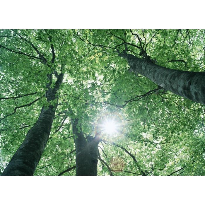 傘　コンパクト　お好きな傘３点選んで3980円対象商品　晴雨兼用　持ち運び便利　男女使えるシンプルデザイン　UVカット率99.9％　大きめ傘袋設計 |  | 06