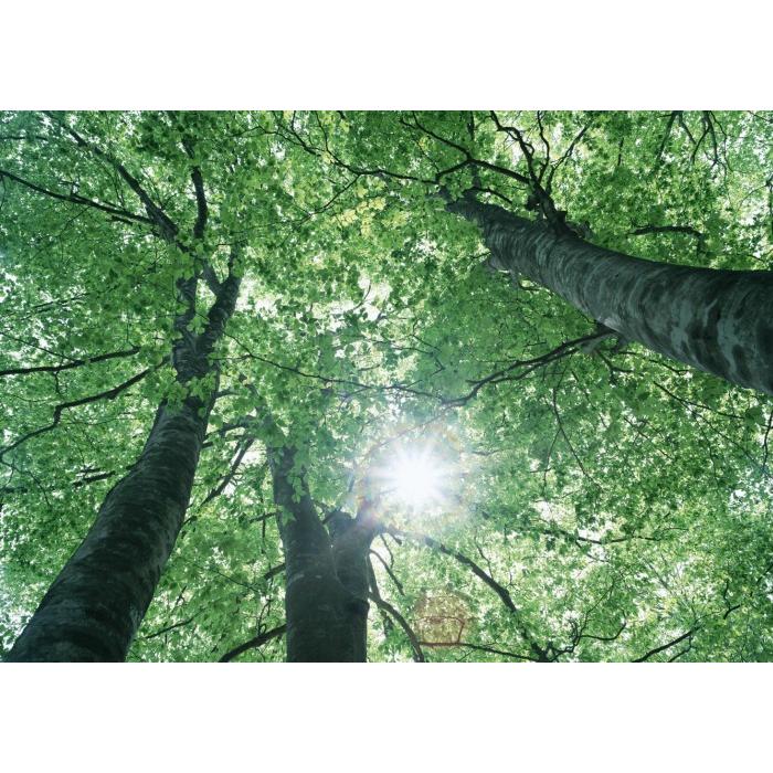 晴雨兼用傘　折りたたみ日傘２本セット　レディース　メンズ　UVカット率99％以上　大きめ傘袋設計 |  | 06