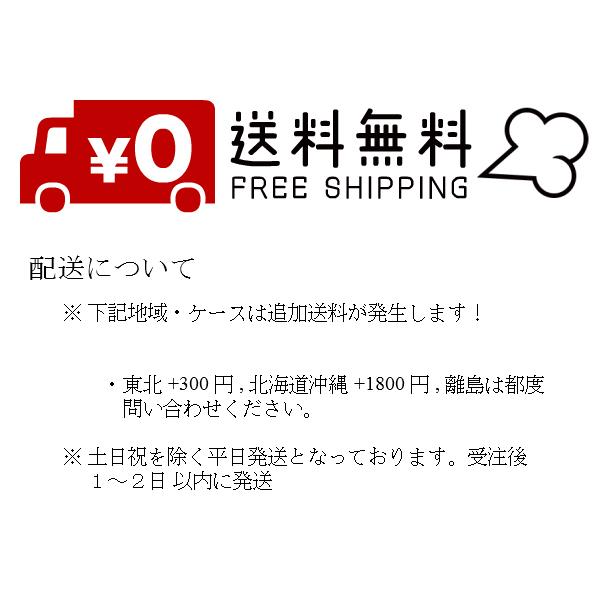 Panasonic 単二電池 2本×100=200本 パナソニック単2アルカリ Panasonic 単二電池 2本×100=200本 パナソニック単2アルカリ
