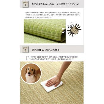 洗える PPカーペット 『バルカン』 グリーン 江戸間6畳(約261×352cm) 2102206_2