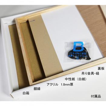 下がき額 桜平型 しろがね色 半切545×424 アクリル樹脂
