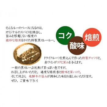 山一商事 飛騨牛黒カレー 230g×24個 7372_5