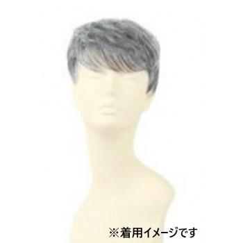 プリシラ 男性用5分ウィッグ ボリュームショート 耐熱 グレイヘア GB