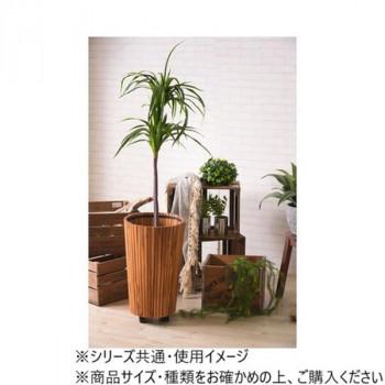 東谷 ウッドプランター L ブラウン GUY-814_3