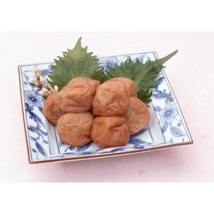 梅心-撰-  300グラム ※塩分約７％ |  | 01