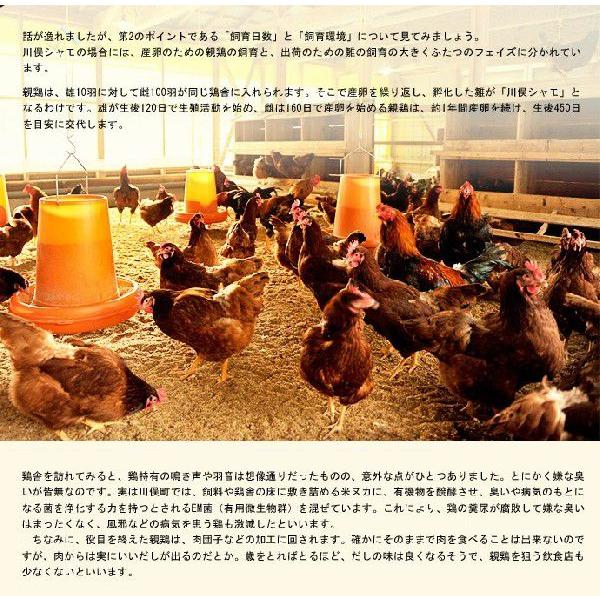 肉 鶏肉 福島県 ギフト 川俣シャモ バラシ 1羽 オス 内臓付き ガラ付き 2 3kg以上 冷蔵 1z いただきマルシェ 通販 Yahoo ショッピング