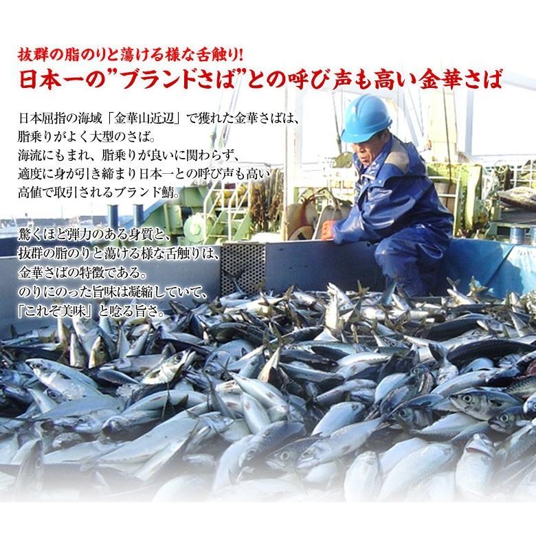 さば サバ 鯖 お刺身 送料無料 宮城 金華サバお刺身漬け丼10食 冷凍 1z いただきマルシェ 通販 Yahoo ショッピング