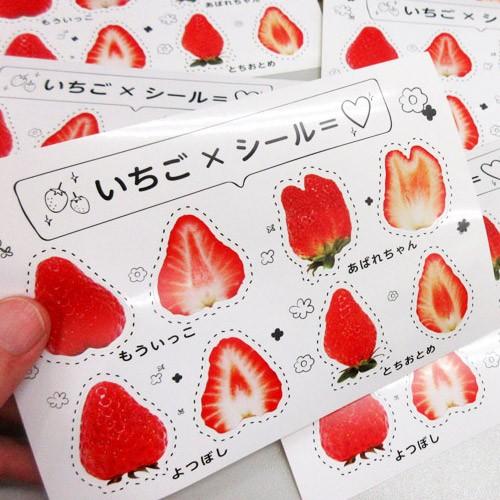 かわいい いちご断面図シールセット 5枚入り メール便 送料無料 1z いただきマルシェ 通販 Yahoo ショッピング