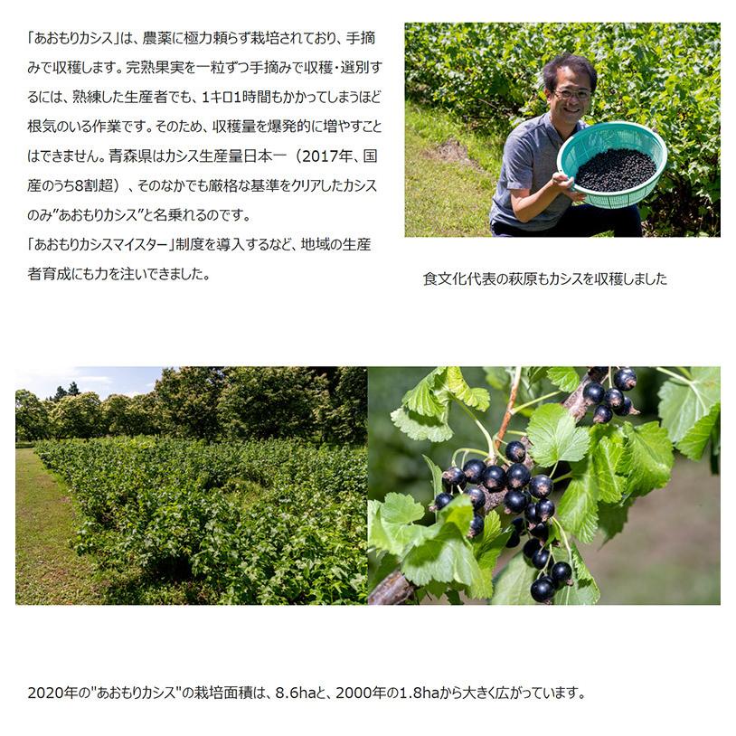 青森県産 特別栽培 あおもりカシス 果実 1kg スタンドパウチ入 冷凍 1z いただきマルシェ 通販 Yahoo ショッピング