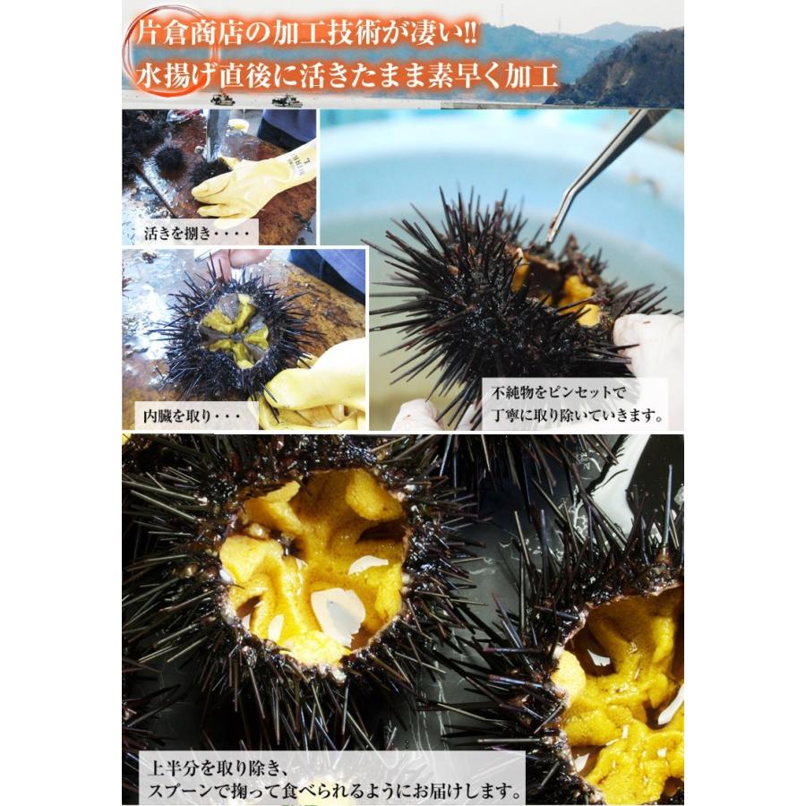 海鮮 送料無料 うに ウニ 宮城県産 お造り生うに 5個セット 1個100g前後 産地直送 冷蔵 2z いただきマルシェ 通販 Yahoo ショッピング
