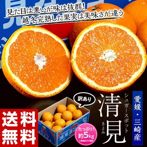 みかん 柑橘 愛媛三崎産 シュガースポット 清見オレンジ （訳あり） Ｍ〜4Ｌサイズ 約5kg（風袋込み） 送料無料 常温｜umeebeccyasannriku