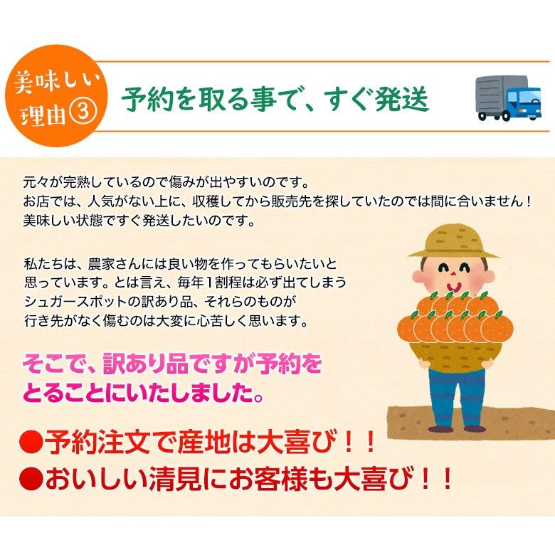 みかん 柑橘 愛媛三崎産 シュガースポット 清見オレンジ （訳あり） Ｍ〜4Ｌサイズ 約5kg（風袋込み） 送料無料 常温｜umeebeccyasannriku｜08