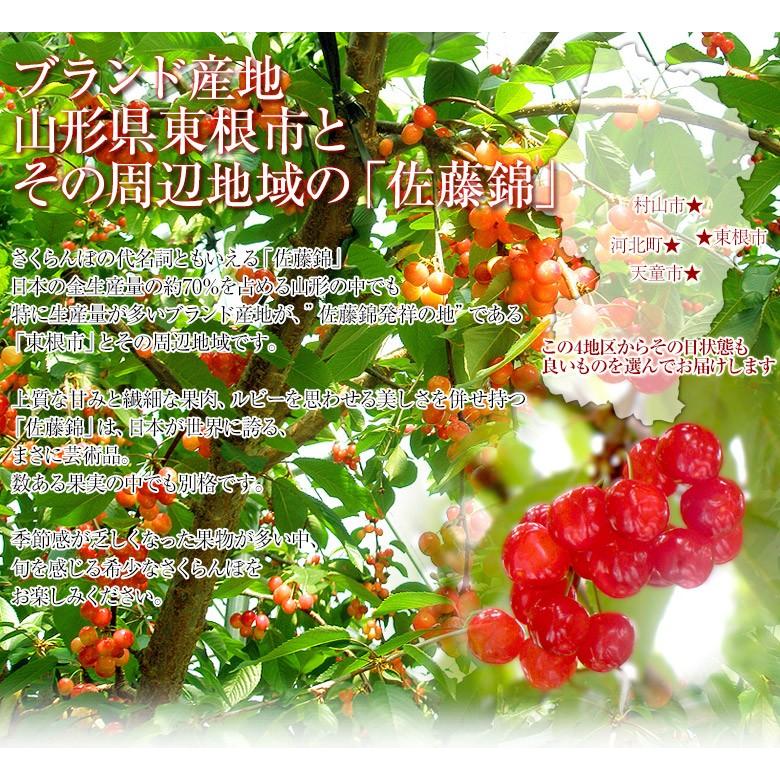 母の日 ギフト フルーツ 送料無料 さくらんぼ 佐藤錦 山形県産 超大粒 ２l 木箱 40粒 約300g カーネーション メッセージカード付き 3a いただきマルシェ 通販 Yahoo ショッピング