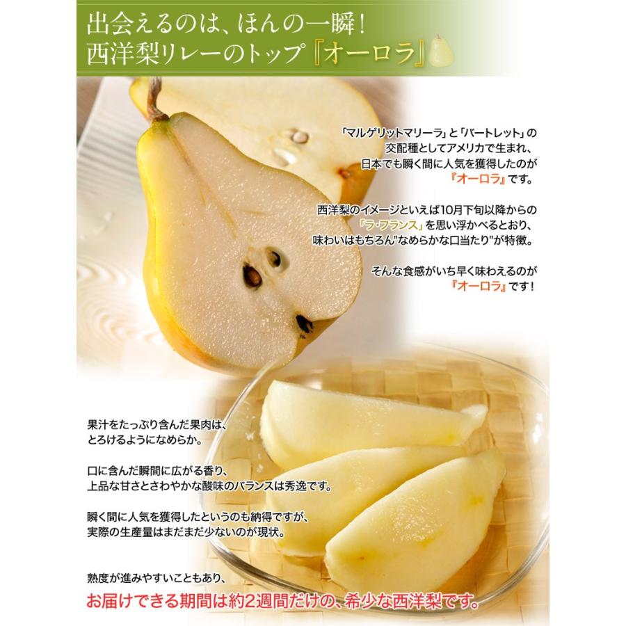 洋梨 洋なし 洋ナシ 梨 なし ナシ オーロラ 山形県産 約2kg 2箱 1箱 6 10玉入 送料無料 3a いただきマルシェ 通販 Yahoo ショッピング