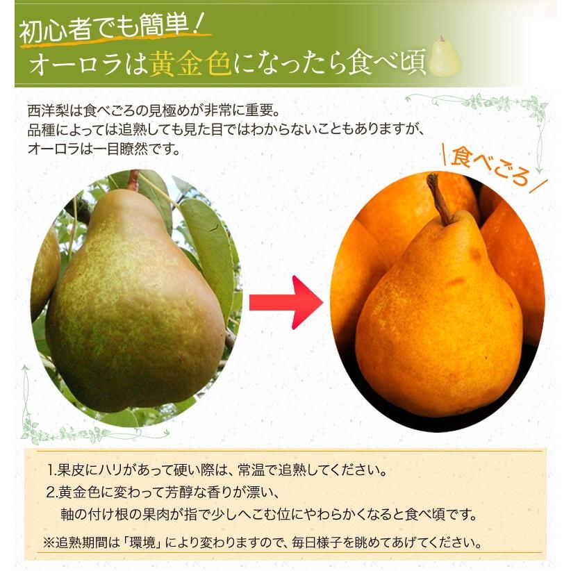 洋梨 洋なし 洋ナシ 梨 なし ナシ オーロラ 山形県産 約2kg 2箱 1箱 6 10玉入 送料無料 3a いただきマルシェ 通販 Yahoo ショッピング