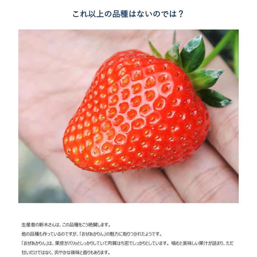いちご イチゴ 苺 群馬県産 Ja利根沼田 おぜあかりん 8 15粒 約400g 2 送料無料 冷蔵 3a いただきマルシェ 通販 Yahoo ショッピング