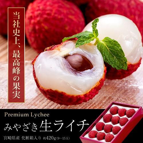 宮崎県産 生ライチ 約4g 9 15玉 化粧箱入り 冷蔵 ギフト 贈り物 贈答 送料無料 3a いただきマルシェ 通販 Yahoo ショッピング