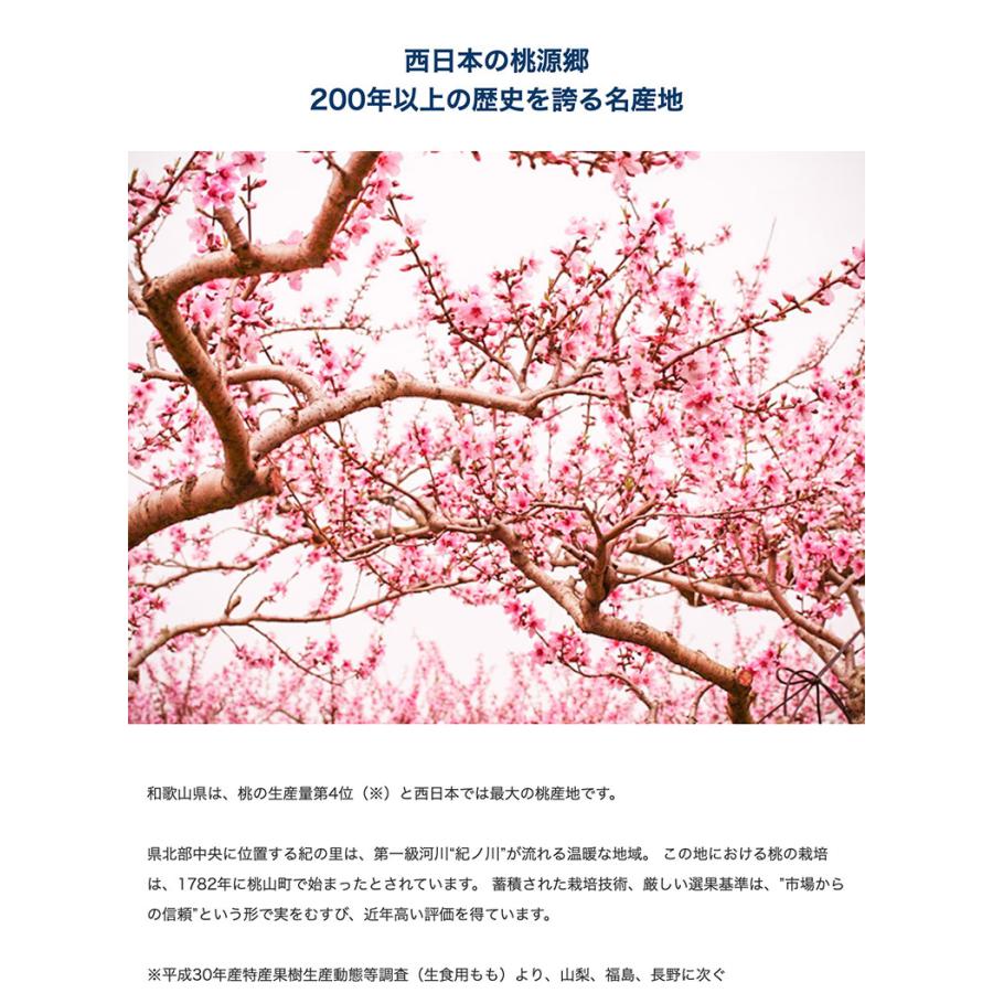 『紀の里の桃』和歌山産 特秀品 約2kg（6〜8玉）化粧箱 ※常温 送料無料｜umeebeccyasannriku｜02