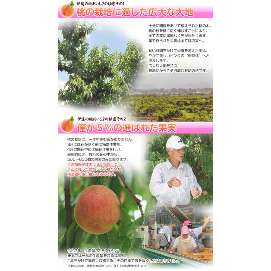 福島県産 伊達の桃 特秀品 約1 7kg 2箱 1箱 7 9玉 産地直送 常温 送料無料 3b いただきマルシェ 通販 Yahoo ショッピング