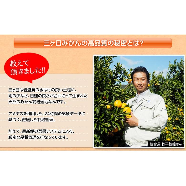 送料無料 みかん ミカン 蜜柑 柑橘 静岡県産 三ケ日 早生 約8kg 大玉 3l 常温 3b いただきマルシェ 通販 Yahoo ショッピング