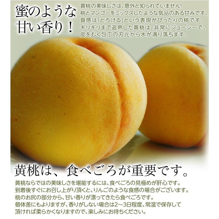 福島県産 伊達の黄桃 約1 5kg 5 8玉 2箱 常温 送料無料 3b いただきマルシェ 通販 Yahoo ショッピング