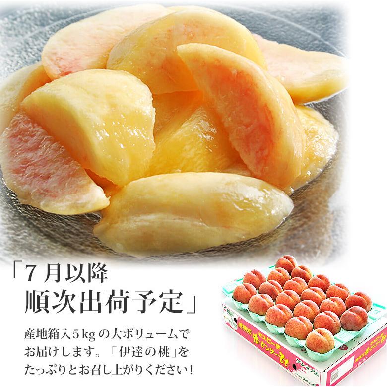 桃 もも 福島県産 伊達の桃  秀品 13〜22玉 約5kg　送料無料 常温 ふくしまプライド。体感キャンペーン（果物/野菜）｜umeebeccyasannriku｜04