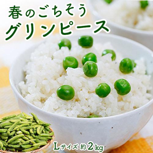 グリンピース 鹿児島県産ほか えんどう豆 Lサイズ 約2kg 冷蔵 送料無料 3d いただきマルシェ 通販 Yahoo ショッピング